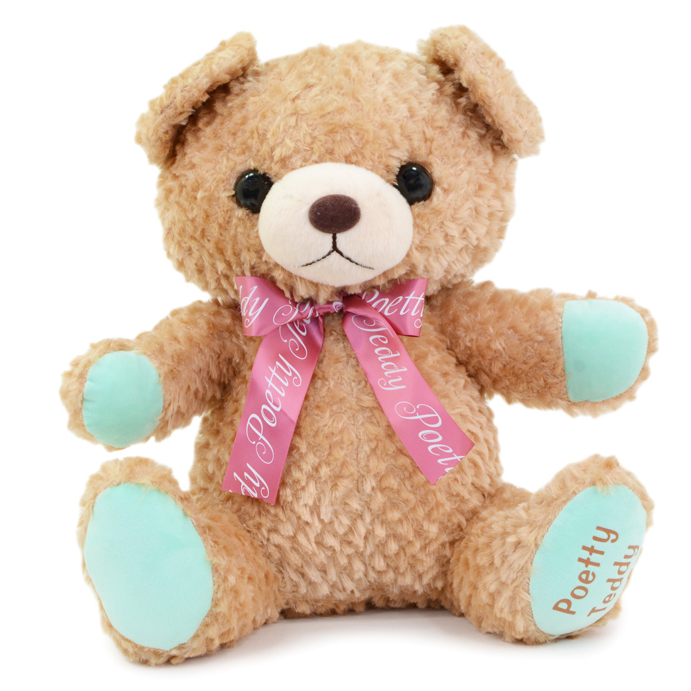 ぬいぐるみ くま ポエッティテディ ベア 小さめ 16cm 大きめ 45cm BIG