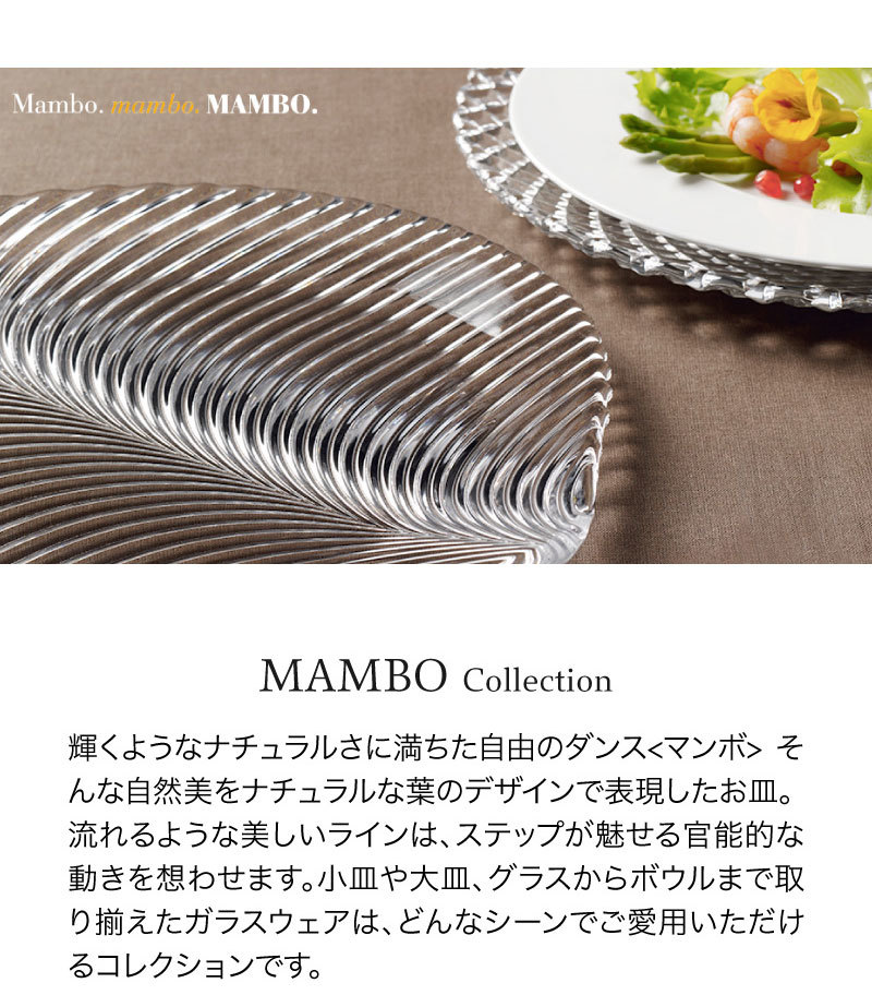 新品！ナハトマンnachtmannnボサノバ23cmペアサラダプレート4枚 ボサノバ> サラダプレート 23cm (2枚入) ギフトボックス入