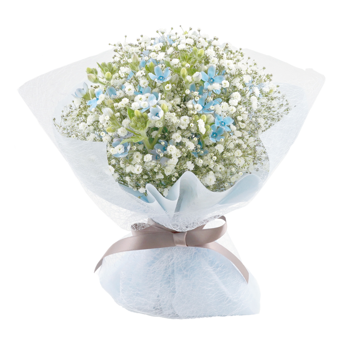 7日前予約品 】【 かすみ草 と ブルースター の ブーケ 】 花束 記念日