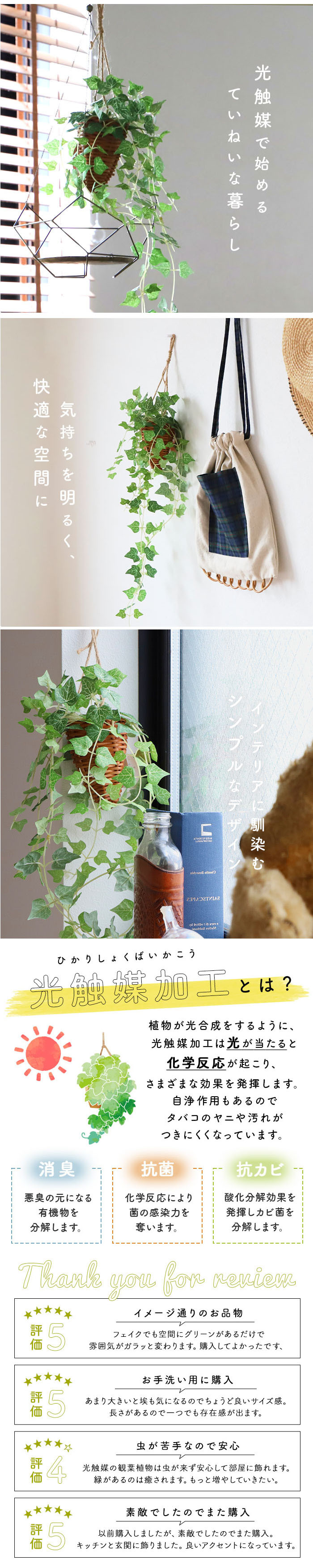 光触媒 フェイクグリーン 通販 壁掛け イミテーショングリーン