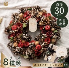 クリスマスリース 32cm 赤 りんご バラ 松ぼっくり Natural Wreath Red