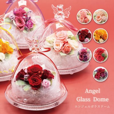 ガラスドームのプリザーブドフラワー】人気ランキング2026年決定版