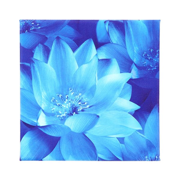 風水 キャンバスプリント アートパネル 【アートフラワーH 20cm×20cm