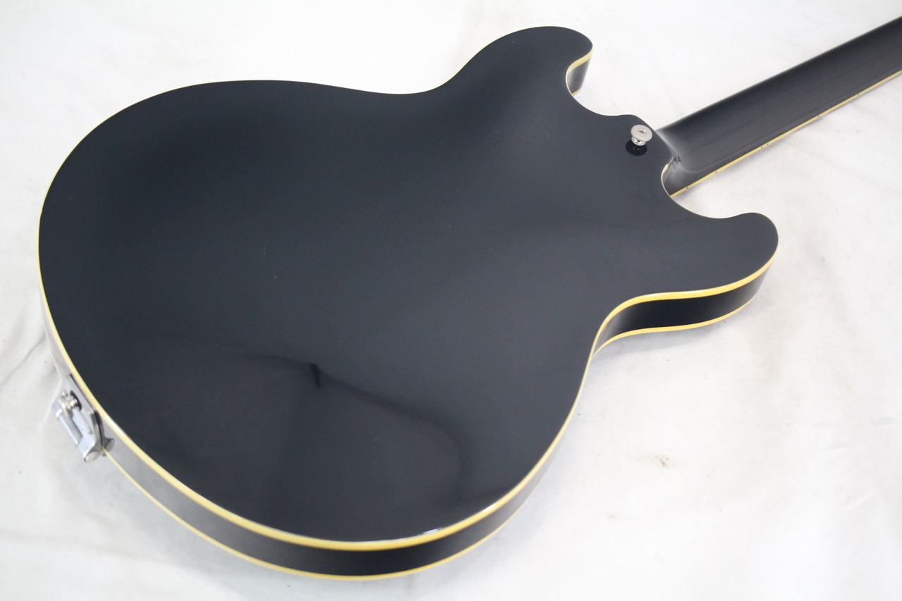 Aria Pro II TA-800（中古）【楽器検索デジマート】