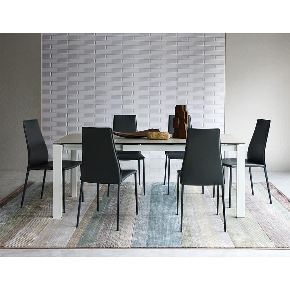 calligaris AIDA/カリガリス アイーダチェア 同色2脚組 通販 - ディノス