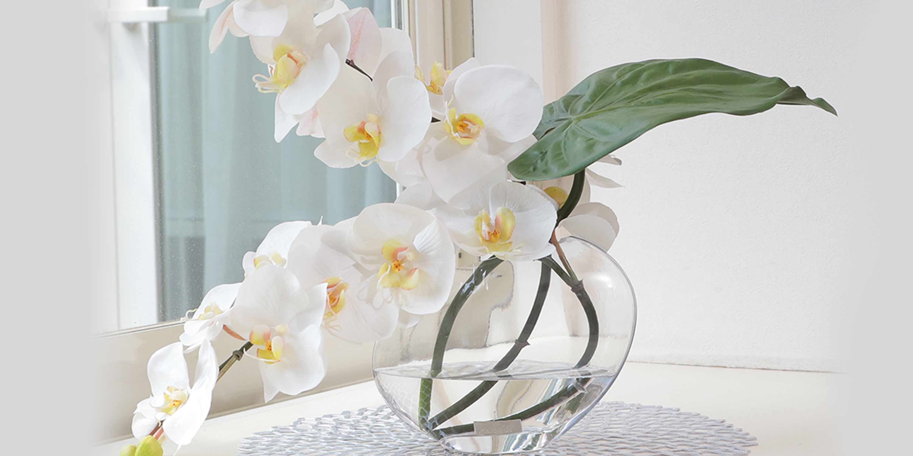 slide2.jpg?Mode=cmsp1s1