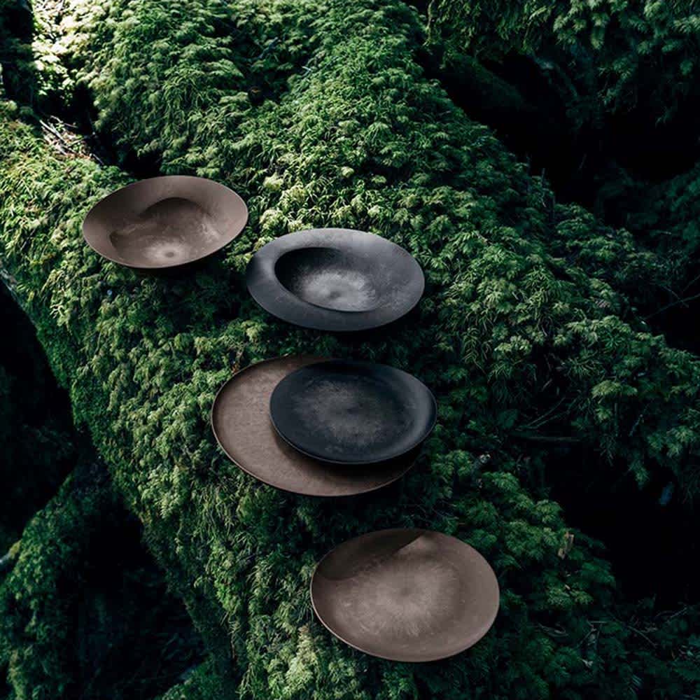 ARAS 杉皮中皿ウェーブ 22cm 割れないお皿 1枚 通販 - ディノス