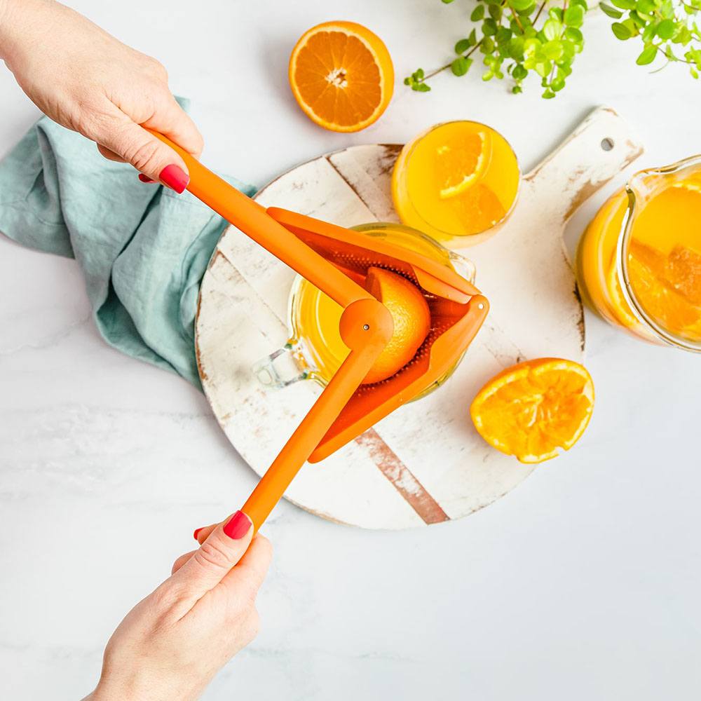 ドリームファーム フルーサーオレンジ オレンジ絞り スクイーザー 通販