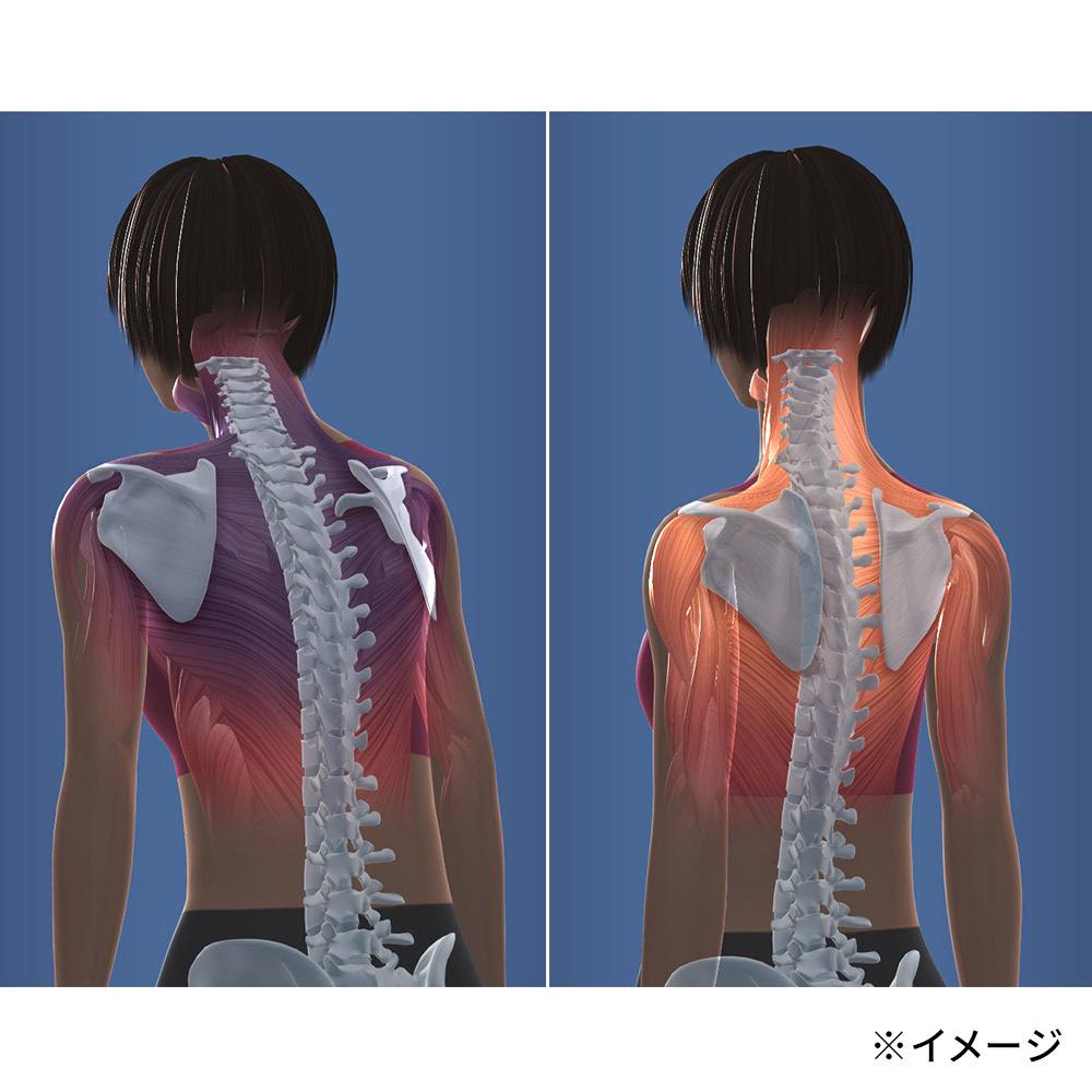 スリムビューティPAD（パッド） 通販 - ディノス