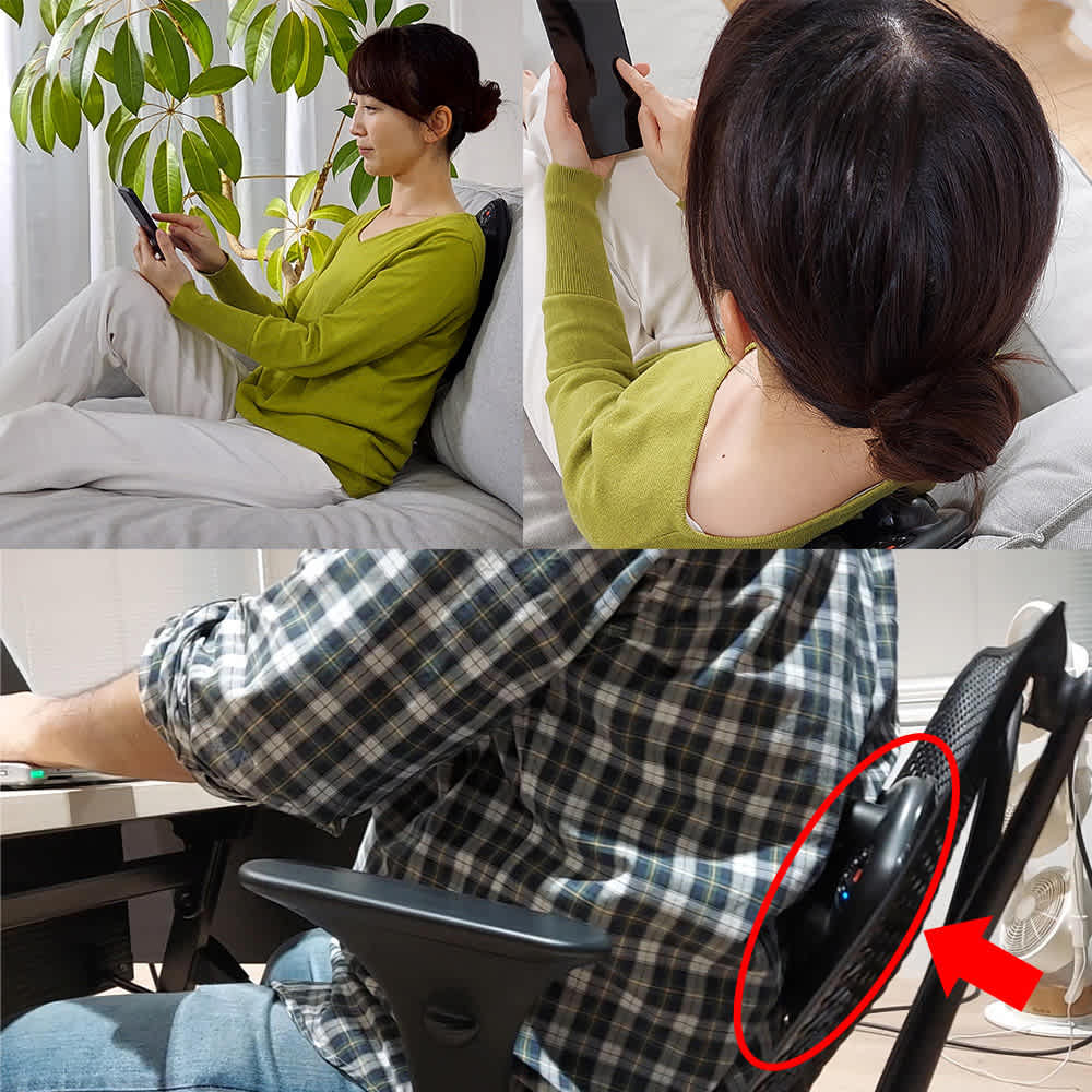 スリムビューティPAD（パッド） 通販 - ディノス