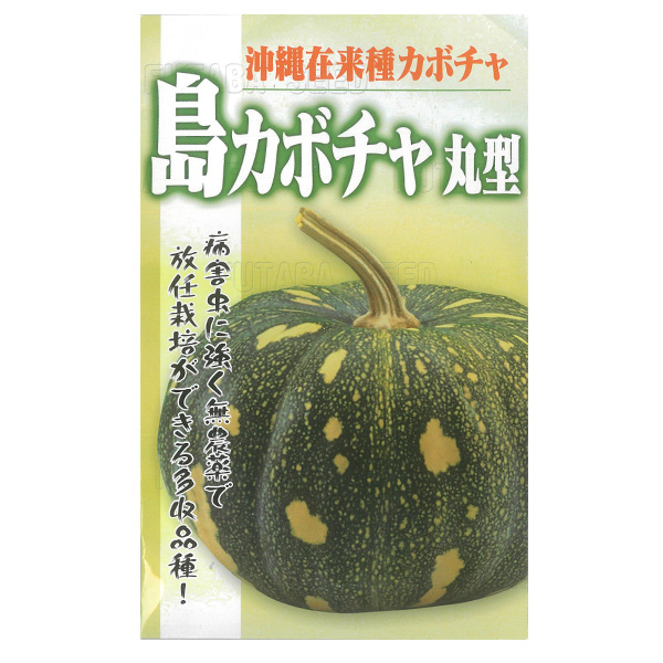 園芸ネット本店｜カボチャ：島カボチャ（丸型）[野菜タネ] の通販【公式】