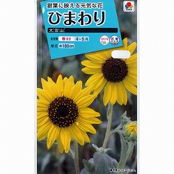 園芸ネット本店｜ヒマワリ：ひまわりコレクション[タキイ 花タネ] の