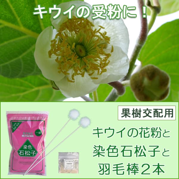 園芸ネット本店｜キウイの花粉1袋と染色石松子（せきしょうし）1袋と