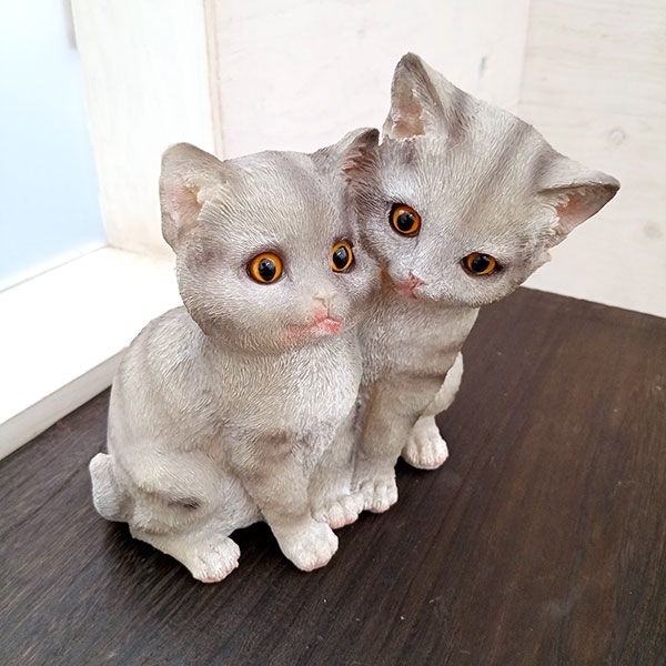 園芸ネット本店｜（わけあり特価）キティーズ・アメショ（TS-25） の