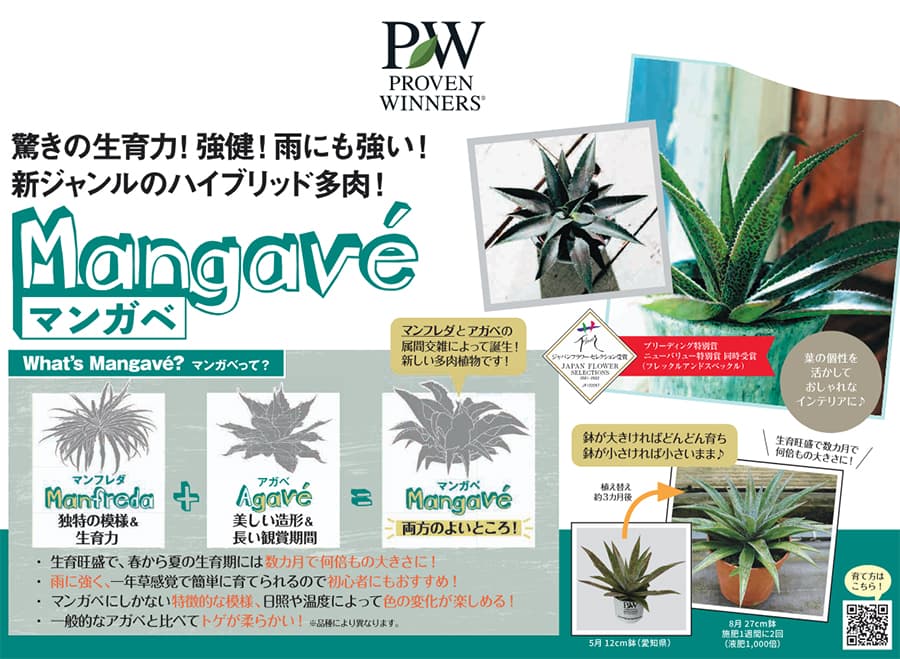 園芸ネット本店｜マンガベ：パープルピープルイーター3号ポット の通販