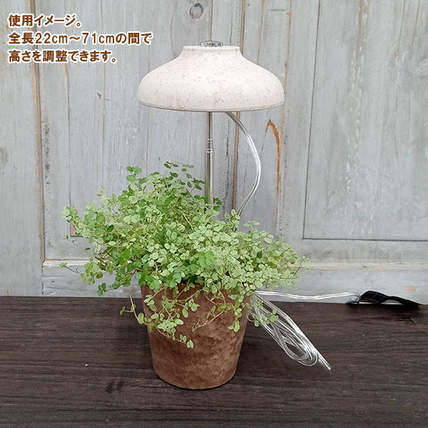 園芸ネット本店｜（わけあり特価）育成ライトスティック・ナチュラル