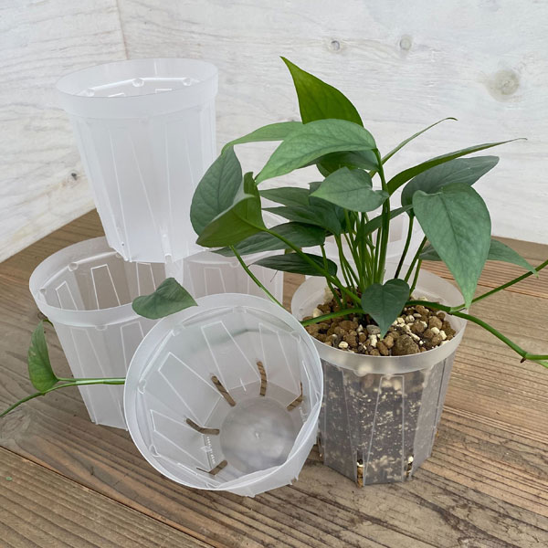 園芸ネット本店｜スリット鉢（透明）：ネガミエル4号ロング2個セット