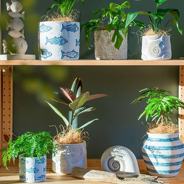 園芸ネット本店｜アンモナイトポット10.5（45410） の通販【公式】