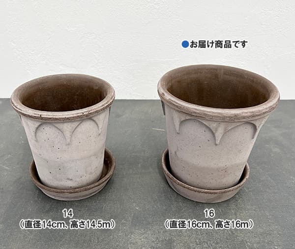 園芸ネット本店｜BERGS POTTER：エリザベス16 グレー(直径16cm)45243