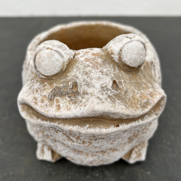 園芸ネット本店｜ソーニョポット：カエルB L／DF32GY（幅19cm、奥行