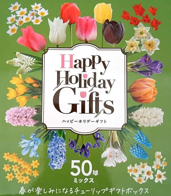 園芸ネット本店｜球根セット：球根ギフトボックス 約50球入り の通販