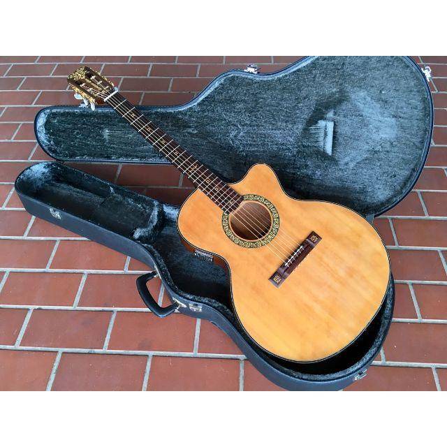 AriaCompany - 国内未発売モデル！上位機！ARIA サンドパイパー