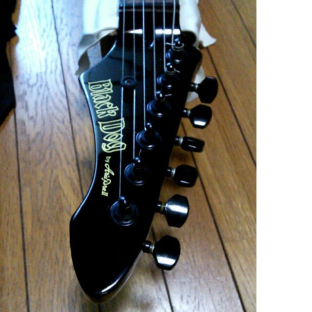 AriaCompany - blackdog by ariapro2 ストラトキャスター sshの通販 by