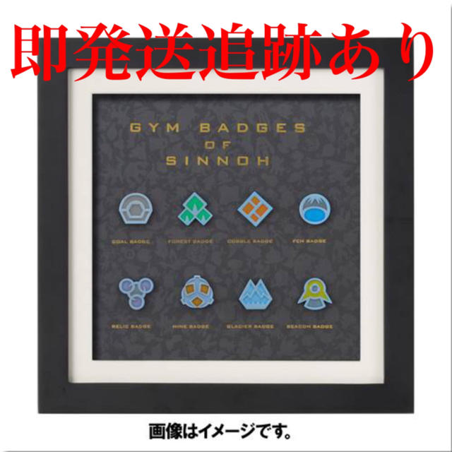 ポケモン - 【ポケットモンスター】 ジムバッジコレクション