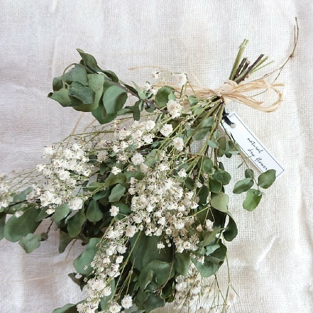 hyu様専用 ユーカリとかすみ草のスワッグの通販 by natural Dryflower