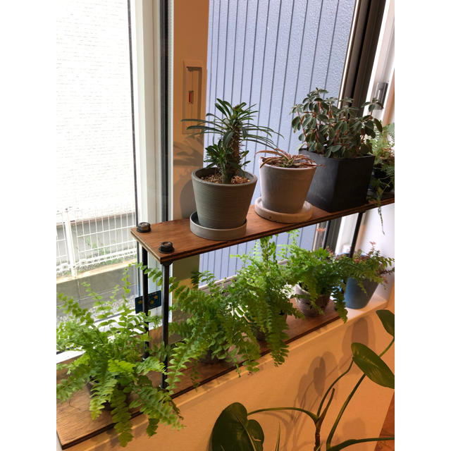 新作☆ボルトラック☆窓枠インテリア西海岸の通販 by trippy's shop