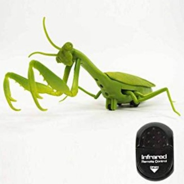 昆虫ラジコン 蛾•ゴキブリ•カマキリの通販 by ファントムハイブ shop