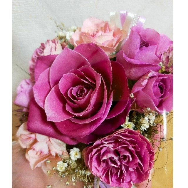 日比谷花壇 ガラスケース 期間限定品の通販 by たぬぼん's shop｜ラクマ