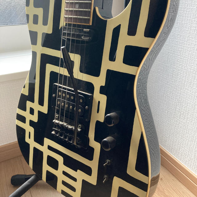 Fernandes - 布袋寅泰モデルフェルナンデスTE-120SHTエレキギター