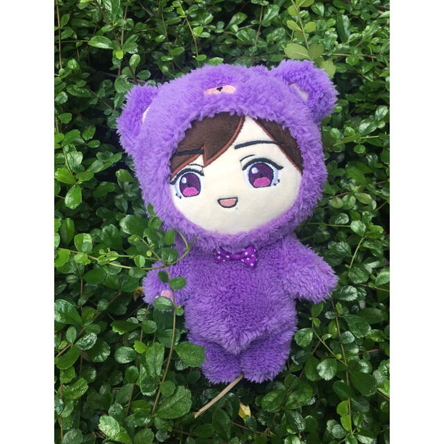 本体付き！嵐 5x20ダッフィー ポップコーン コスチューム ぬいぐるみ