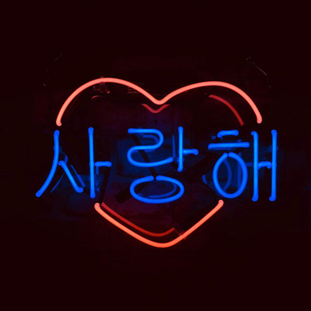 オーダーメイド ネオンサイン 韓国語愛してる 結婚式 ギフト 省エネ