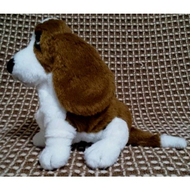 Hush Puppies - Hush Pappies 