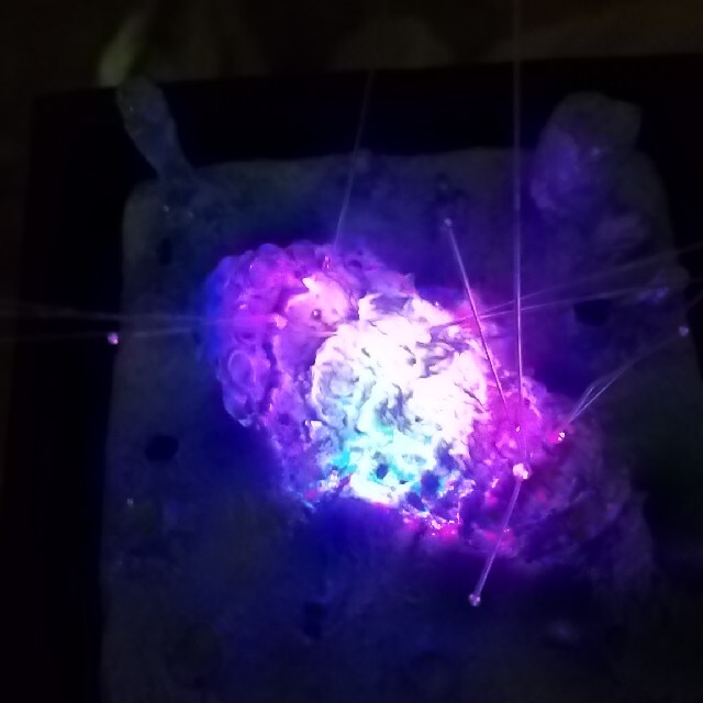 ジブリ - 風の谷のナウシカ アクアプラント 腐海のオウムと胞子 ジブリ