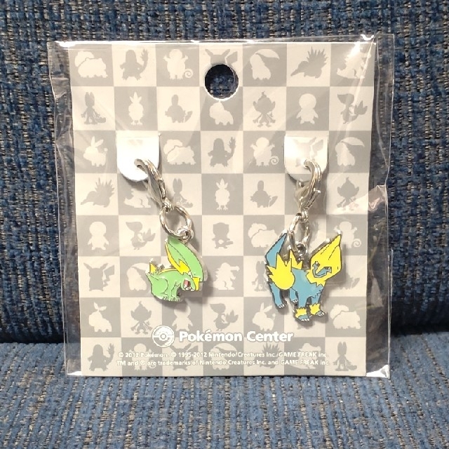 ポケモン - ポケモン メタルチャーム ラクライ ライボルトの通販 by