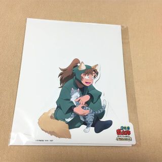 1427980248.jpg?1639663207