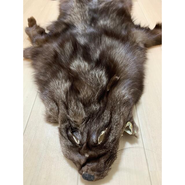 ブルーフロストフォックス キツネ 原皮 リアルファー ラグ 敷物 素材