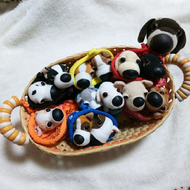 マクドナルド - 【2022年中の出品予定】 The Dog ハッピーセット