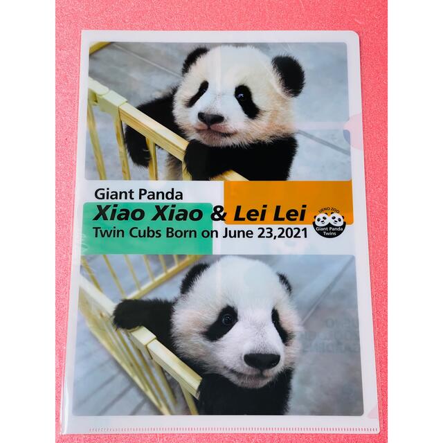 2枚 ジャイアントパンダ シャオシャオ レイレイ クリアファイル 上野