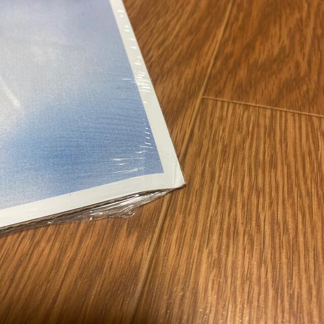 ポケモン - 海外ポケモンセンター限定 空飛ぶリザードン ポスターの