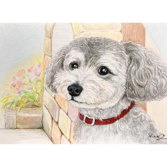 鉛筆画 原画 手描き プードル トイプードル イラスト モノクロの通販