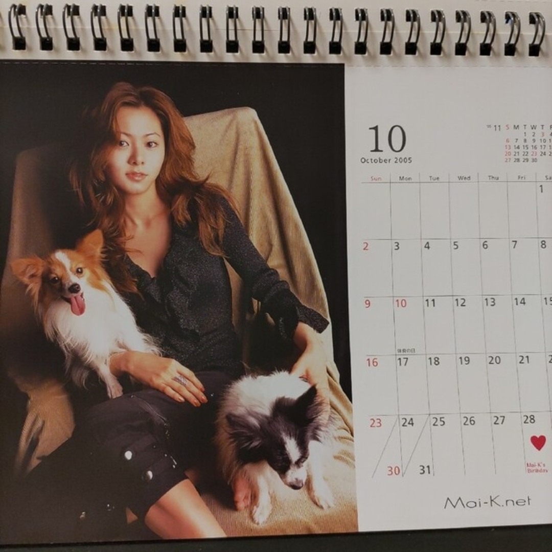 FC限定!倉木麻衣オフィシャル カレンダー 2005 Mai-K.net 卓上型の通販