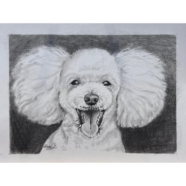 プードル 水彩画 原画 手描き イラストの通販 by ウラン ｜ラクマ