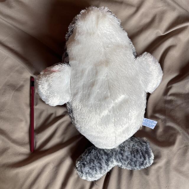♪ CUTE イルカ ぬいぐるみ グレー いるかの通販 by プロフ必読♡｜ラクマ