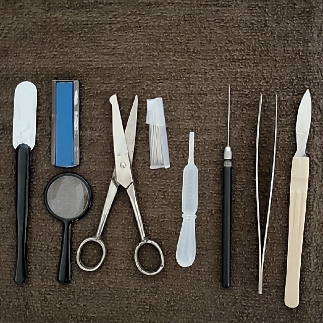 昭和レトロ 解剖セット ケース付き 解剖 実験 理科 メス ピンセット