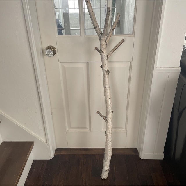 北海道白樺の木 店舗用インテリア 装飾 クリスマス装飾 の通販 by 花萌