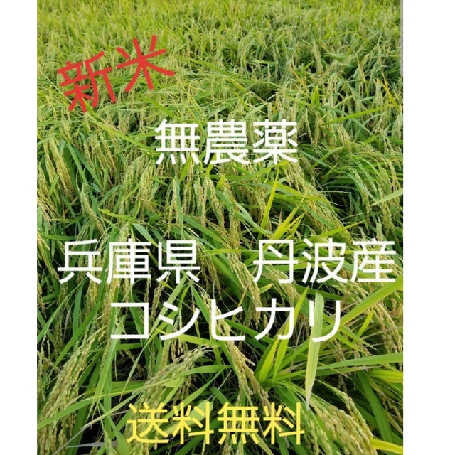 龍さん専用 田中トシオ コンパクトコーム 専用ケース付き 田中トシオ